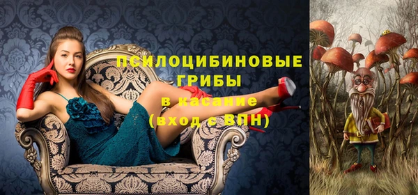 синтетический гашиш Елизово