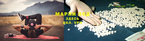 mdpv Ельня
