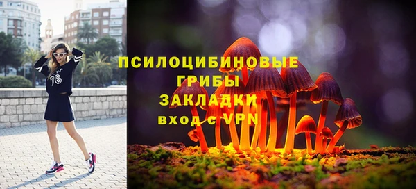 синтетический гашиш Елизово