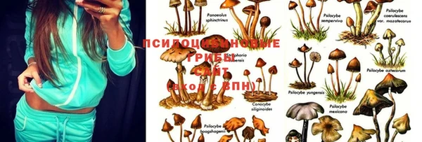 MESCALINE Елабуга