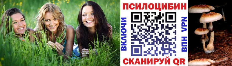Галлюциногенные грибы Cubensis  Купить  Перевоз 