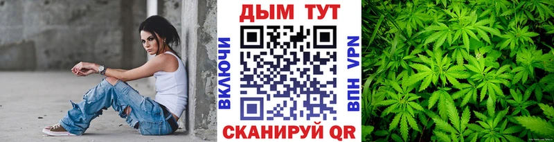 Бошки Шишки VHQ  Купить  Перевоз 